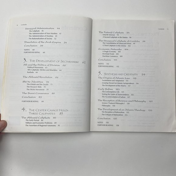 The History of the Muslim World to 1405 by Vernon O. Egger - Picture 4 of 16